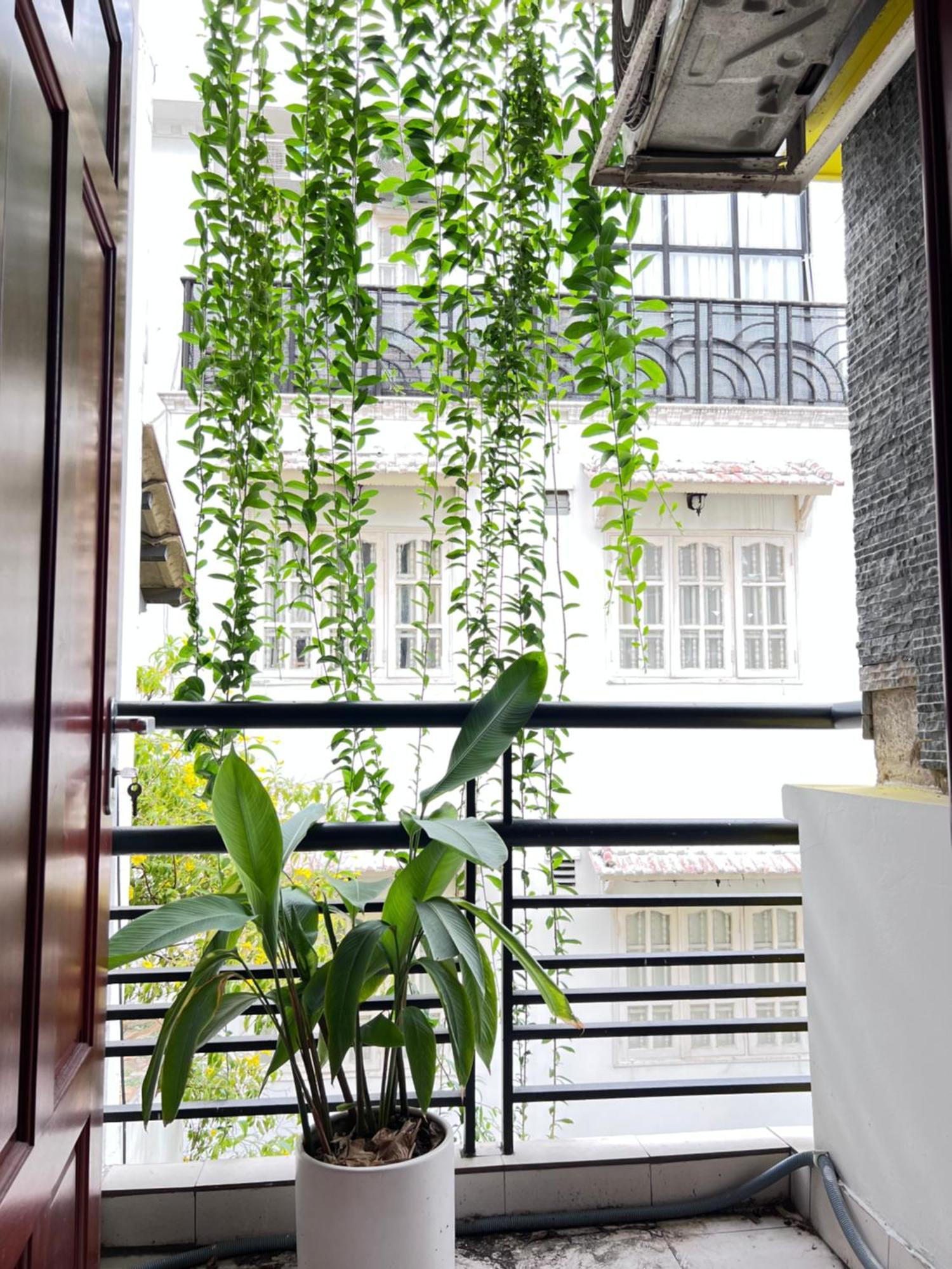 Cỏ Homestay Bandar Ho Chi Minh Luaran gambar